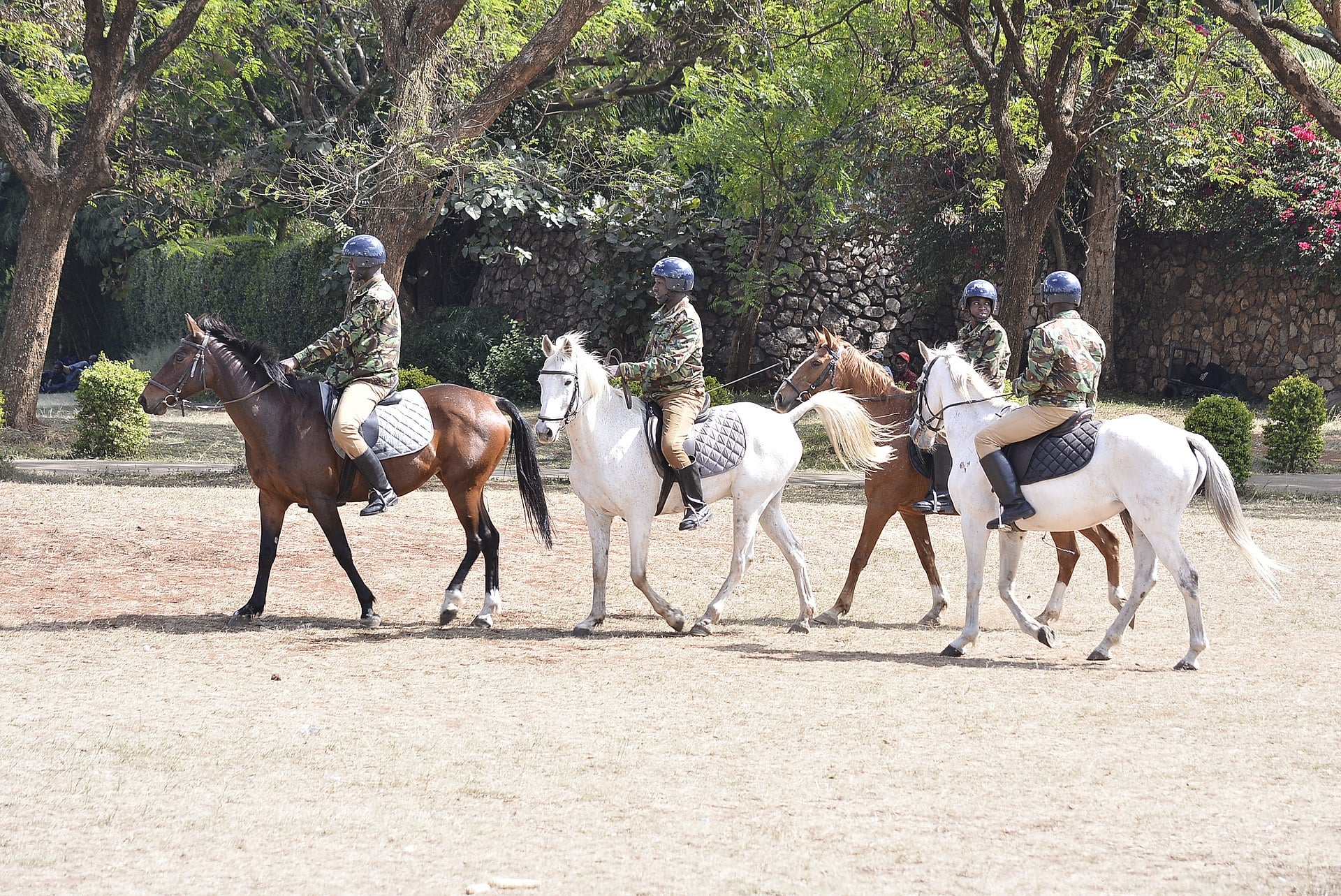 Kenya NPSC Mandate After Court Ruling: What Comes Next